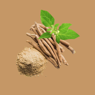 Az Ashwagandha fizikai teljesítményt tuningoló hatása