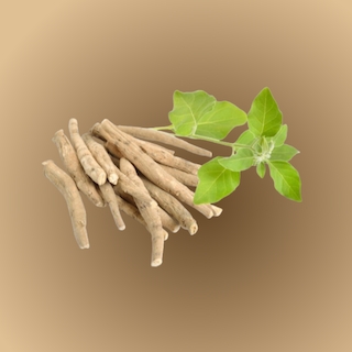 Ashwagandha, mint természetes stresszcsökkentő